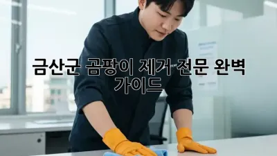 금산군 곰팡이 제거 전문: 완벽 가이드