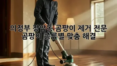 🏡 의정부 장암동 곰팡이 제거 전문, 곰팡이 종류별 맞춤 해결! 🧽
